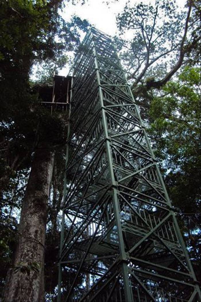 Observation Tower at Sani Lodge