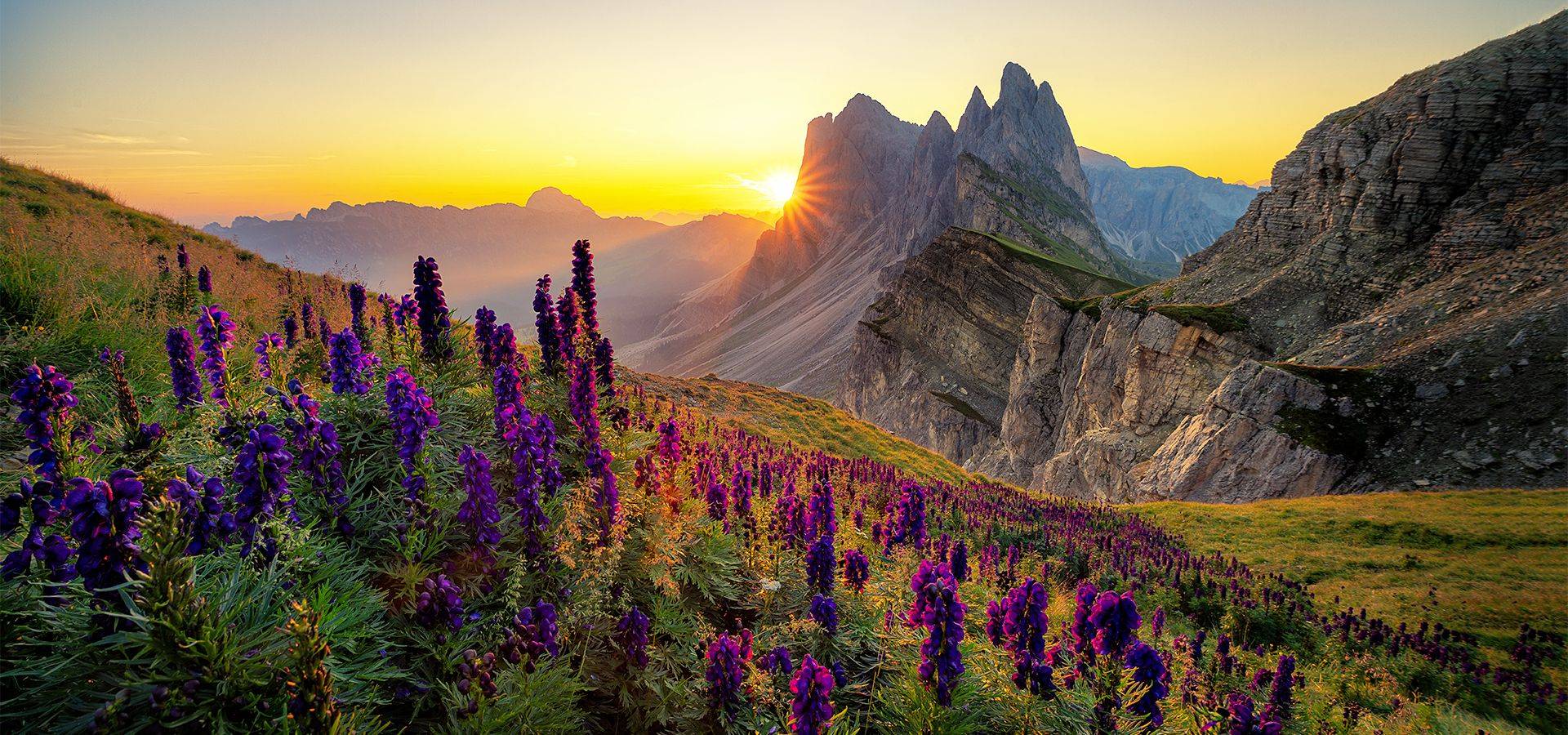 Our Best 16 Botanical Holidays