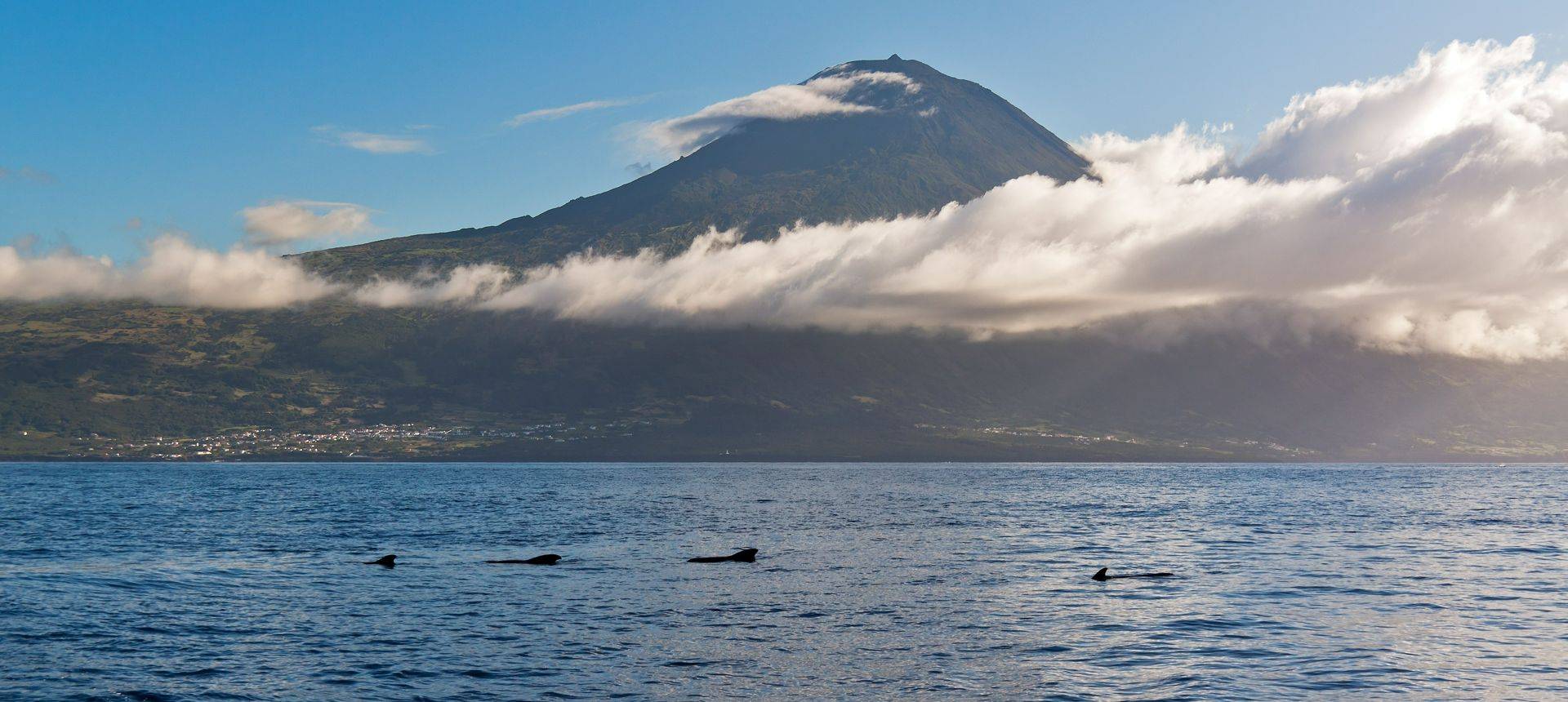 Pico Island Azores Shutterstock 100839673