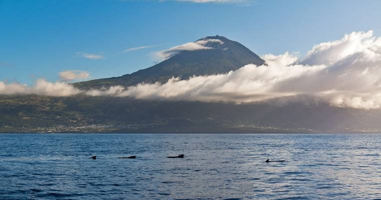 Pico Island Azores Shutterstock 100839673