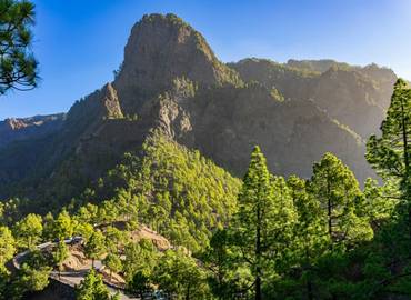 The Canaries - La Palma in Spring