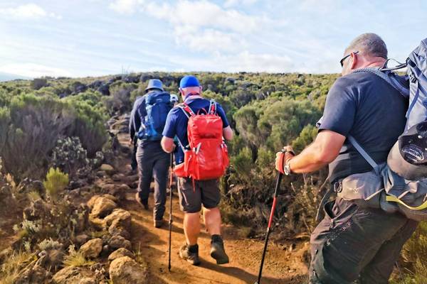 Hikers standing in a line over a wide vista holding their arms wide in celebration on the trek to Kilimanjaro