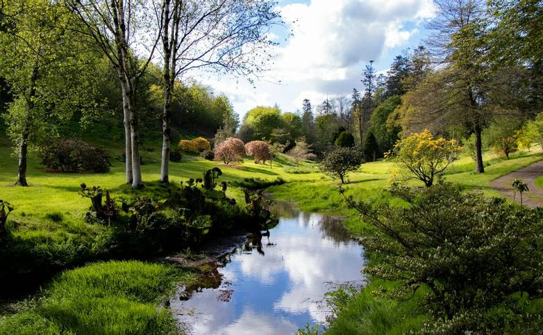Exmoor Somerset & Devon Garden Tours -  Castle Hill -  IMG_5845_edited-1.jpg