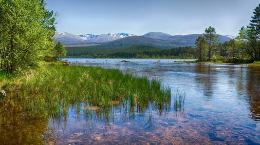 Cairngorms North Guided Trail Holiday