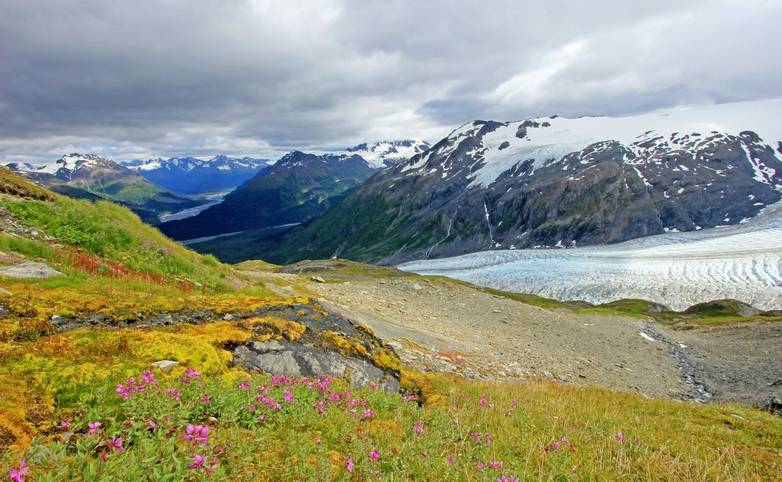 Exit Glacier, Harding Ice Field, Kenai Fjords National Park, Alaska, USA