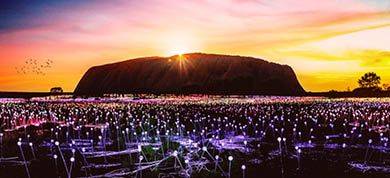 TheGhan-AliceSprings-FieldofLights-map-new.png