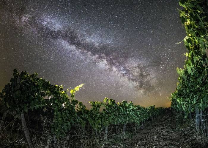 MilkyWay and Vineyards © Miguel Claro  Dark Sky® Alqueva.jpg