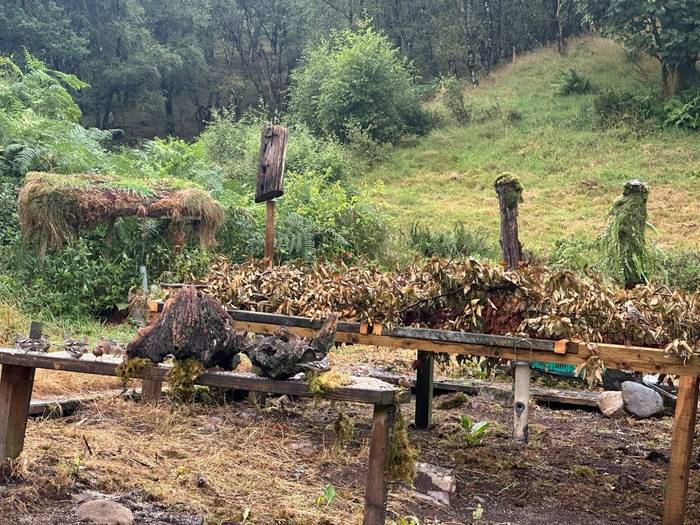 Bird Hide View (Paul McDouggall.jpg