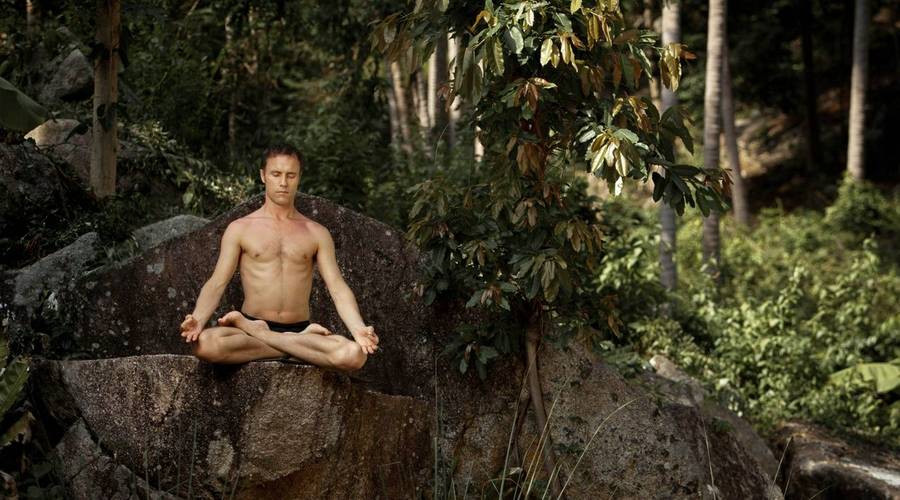 Meditation in Thai Jungle