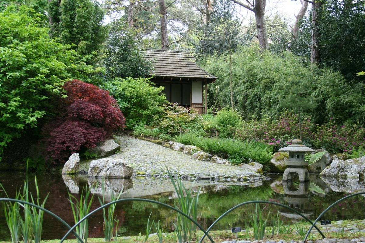 Cornwall -  Great Gardens of Cornwall - Pinetum Gardens - Japanese Garden.JPG