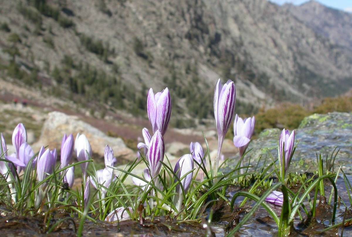 NTK_Europe_050505_1745.jpg