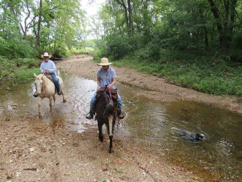 hidden-trails-rs-ranch-rides-ozarks-horseback-riding-6.jpg