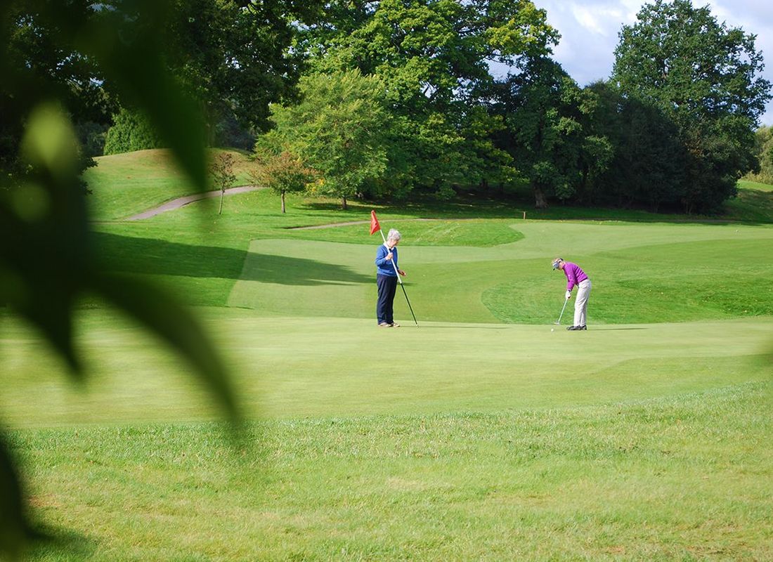 Two golfing friends putting on golf course green