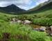 Arran Islay Jura - Island Hopping - Arran - AdobeStock_15639909.jpeg