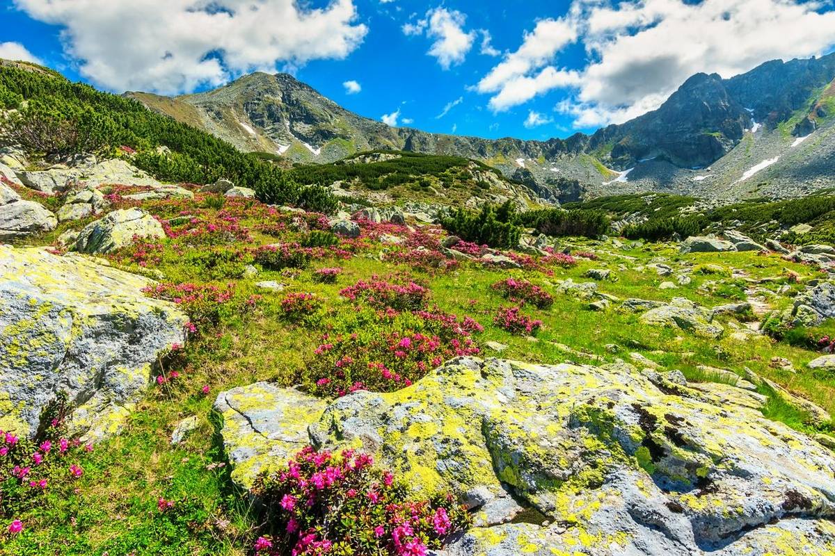 Romania - Transylvania, Carpathians, Danube