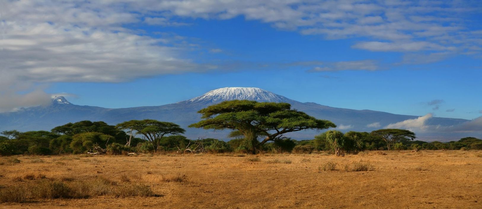Kilimanjaro Travel Insurance: What Cover You Need for the Climb