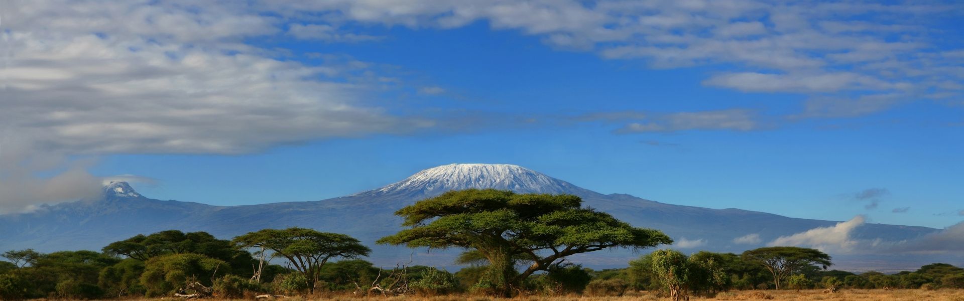 Kilimanjaro The Long Way