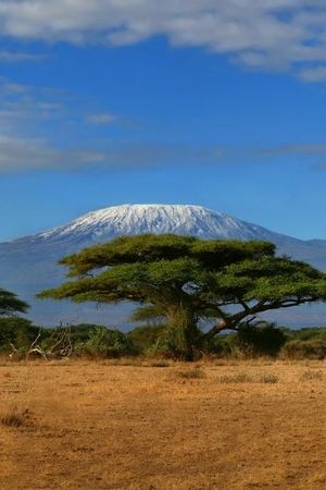 Kilimanjaro The Long Way