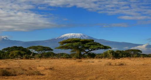 Kilimanjaro - The Long Way