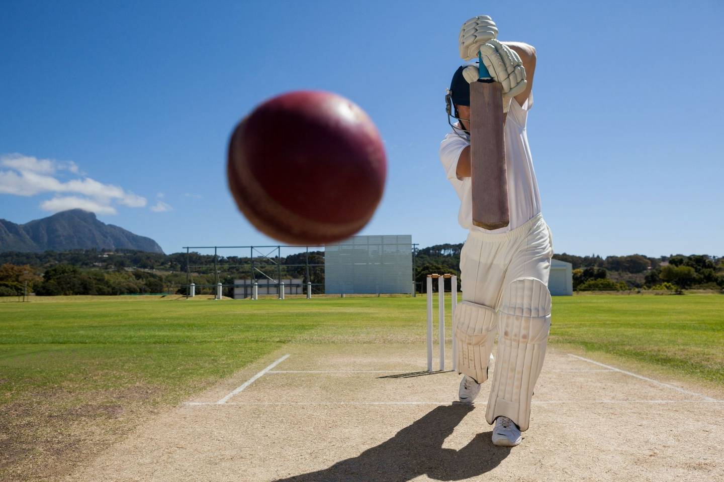 Cricket Image