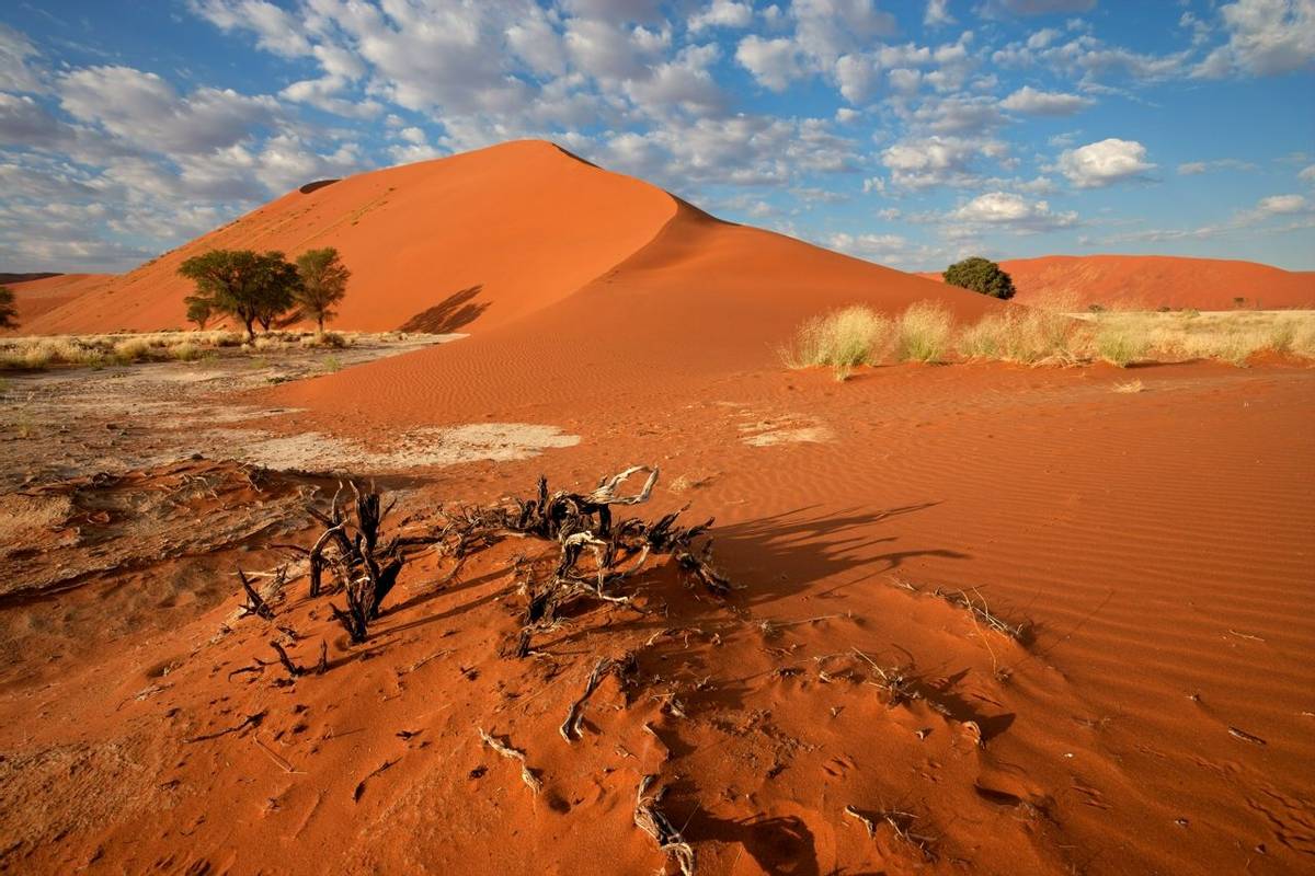Sossusvlei, Namib Desert