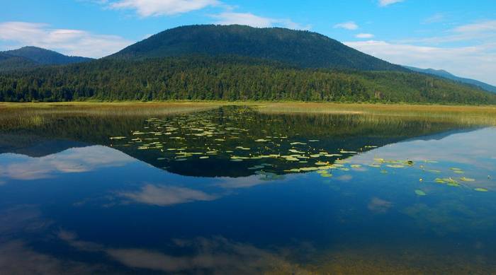 Lake Cerknica