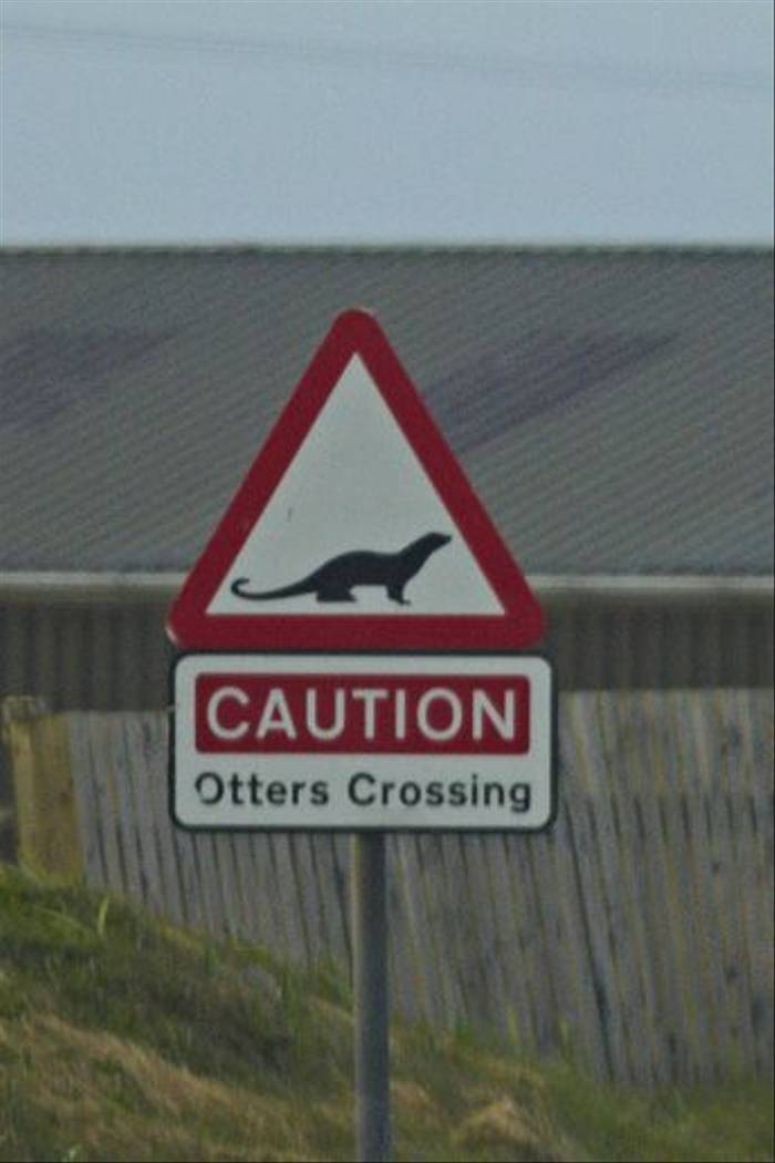Otter signpost! (Derek Mills)