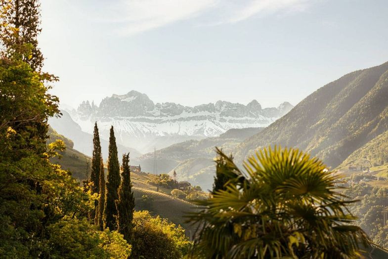 Preidlhof New Alpine meets Mediterranean - Tobias Kaser.jpg