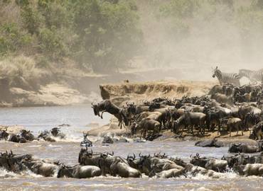 Kenya's Maasai Mara Migration