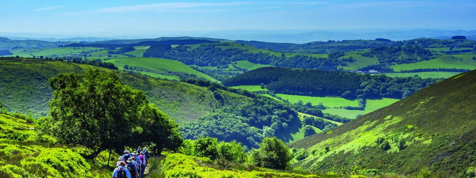 Bald Hiker images aka Paul Steele Longmynd House (24).jpg