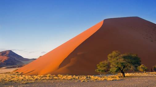 Wildlife & Dunes of Namibia