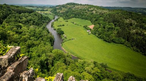 Forest of Dean & Wye Valley Guided Walking 