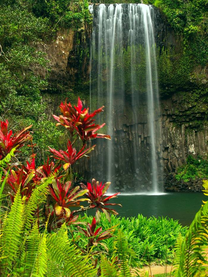 Millaa Millaa falls, Queensland