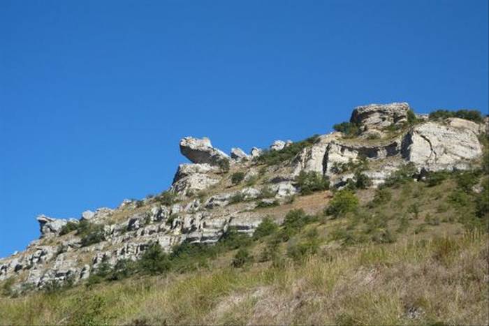 Las Tuerces Geological Reserve (Byron Palacios)