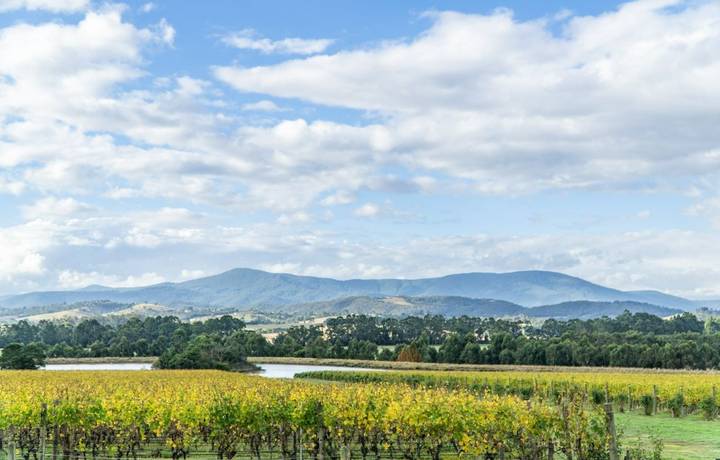 Picture is taken in 2018. It shows a wonderful winery in yarra valley in Australia. Picture is taken in 2018. It shows a wonderful winery in yarra valley in Australia.