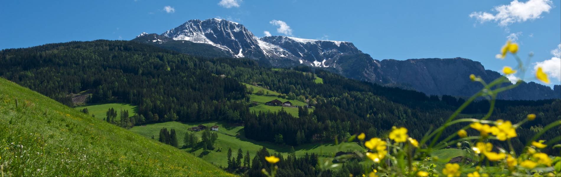 South Tyrol (2).png