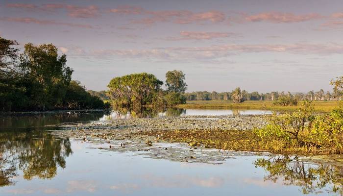 Kakadu Wetlands, Australia shutterstock_571544377.jpg