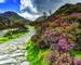 Snowdonia national park