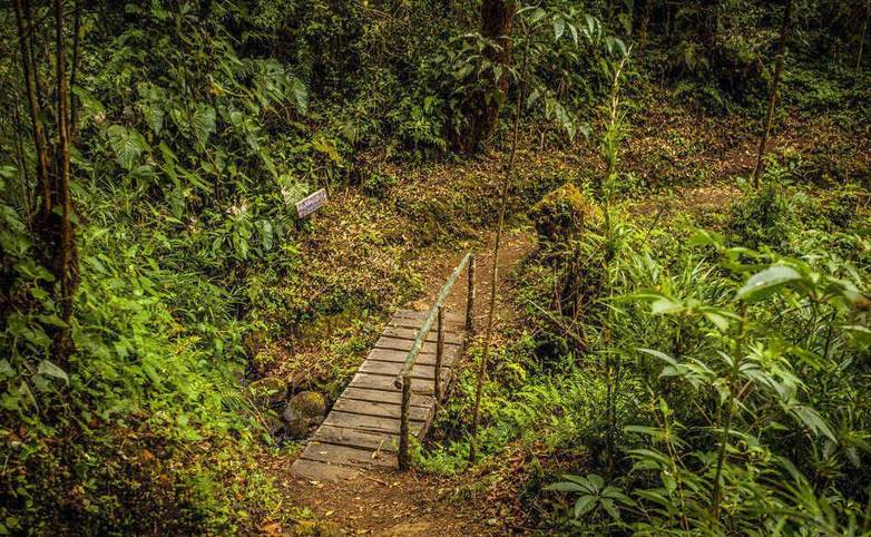 quetzal_paradise_hotel_4.jpeg