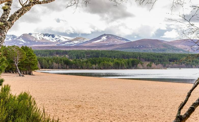 Cairngorms - Guided Trail - AdobeStock_220349304.jpeg