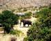 Namibia - Huab Lodge - Elephant in Backyard - Agent Photo.jpg