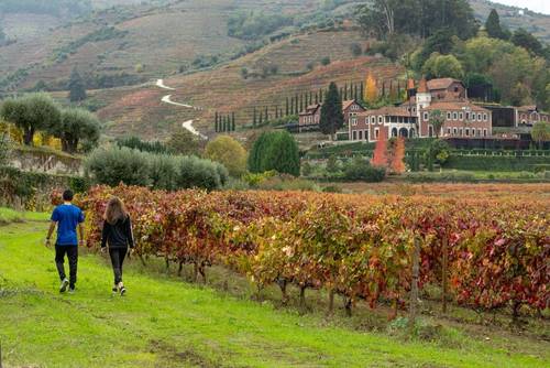 six-senses-douro-valley-Vineyard_Walk_[8890-A4].jpg