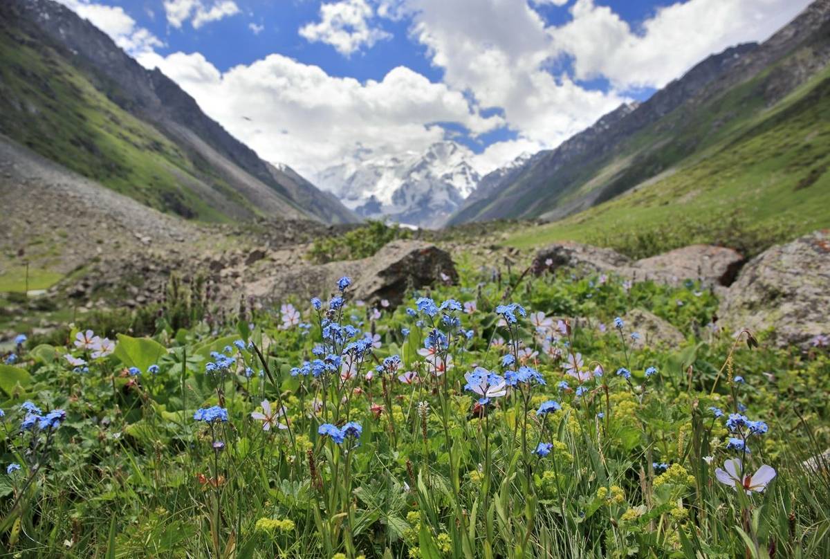 Tien Shan mountains in Kyrgyzstan