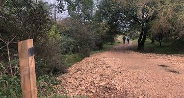 Cotswold Way Restoration Project