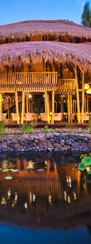 Culinary Detox Retreat & Spa Rituals