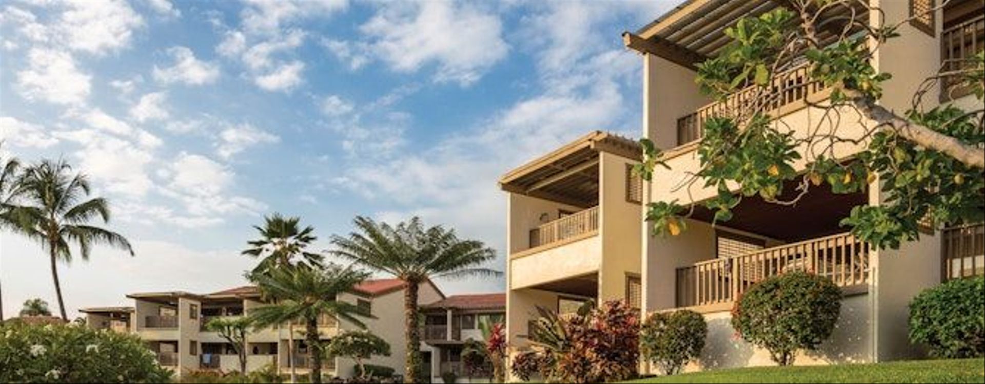 Kona Coast SVC EX 003