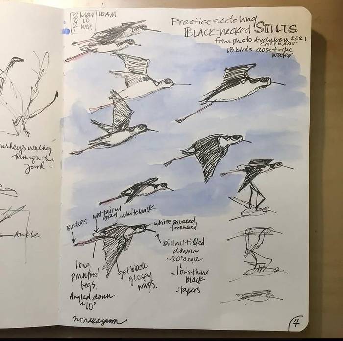 Nature Journalling (Melinda Nakagawa)