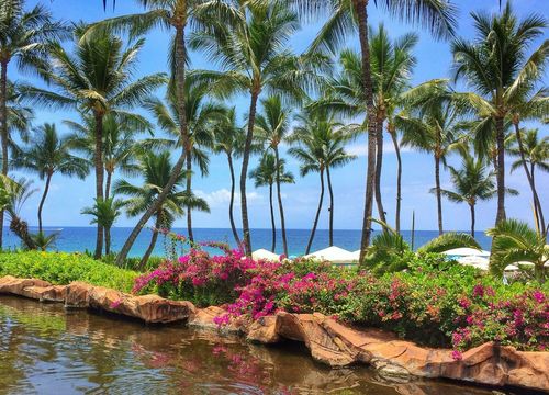 Grand Wailea, A Waldorf Astoria Resort-Miscellaneous.jpg