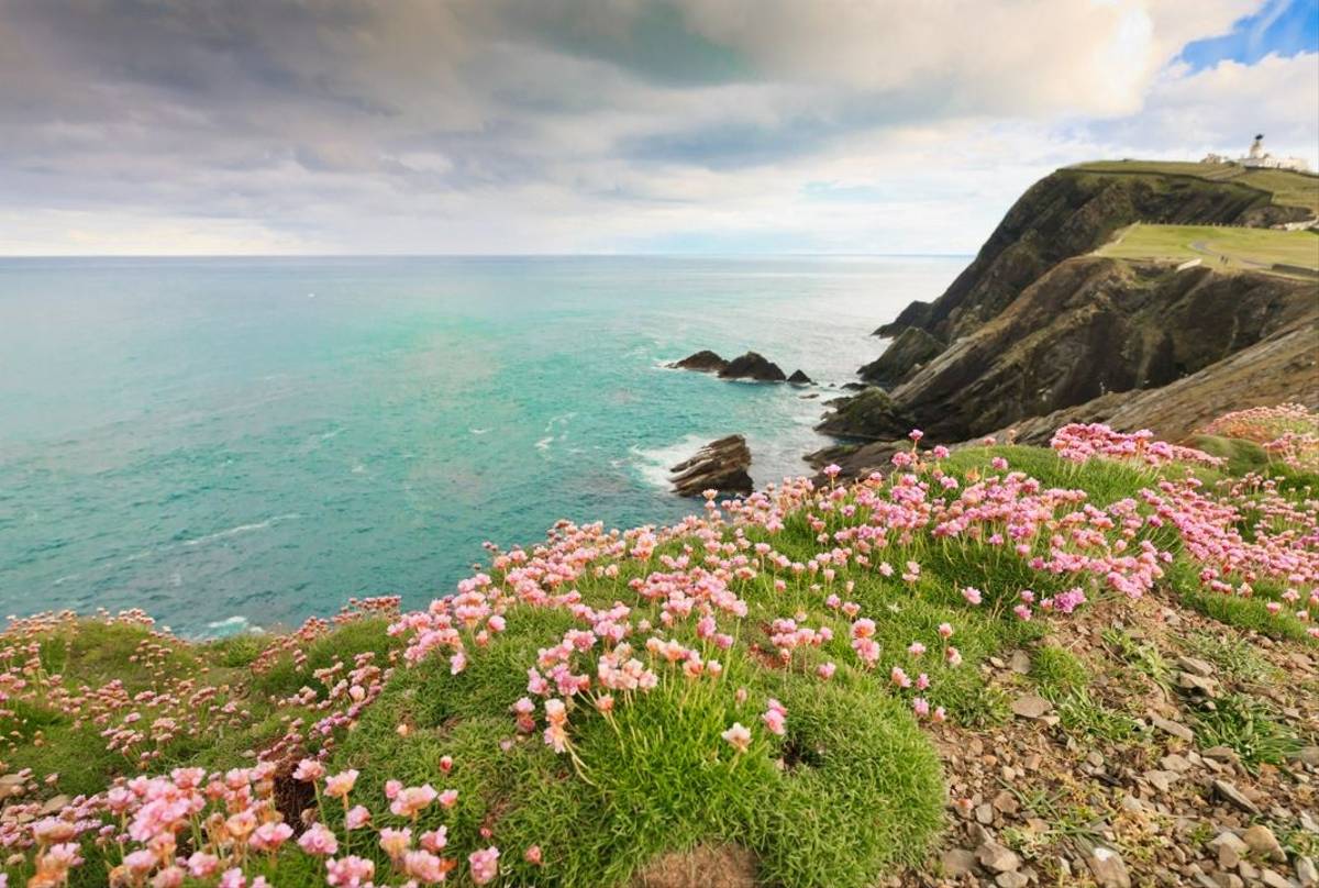 Sumburgh, Shetland Shutterstock 99993272