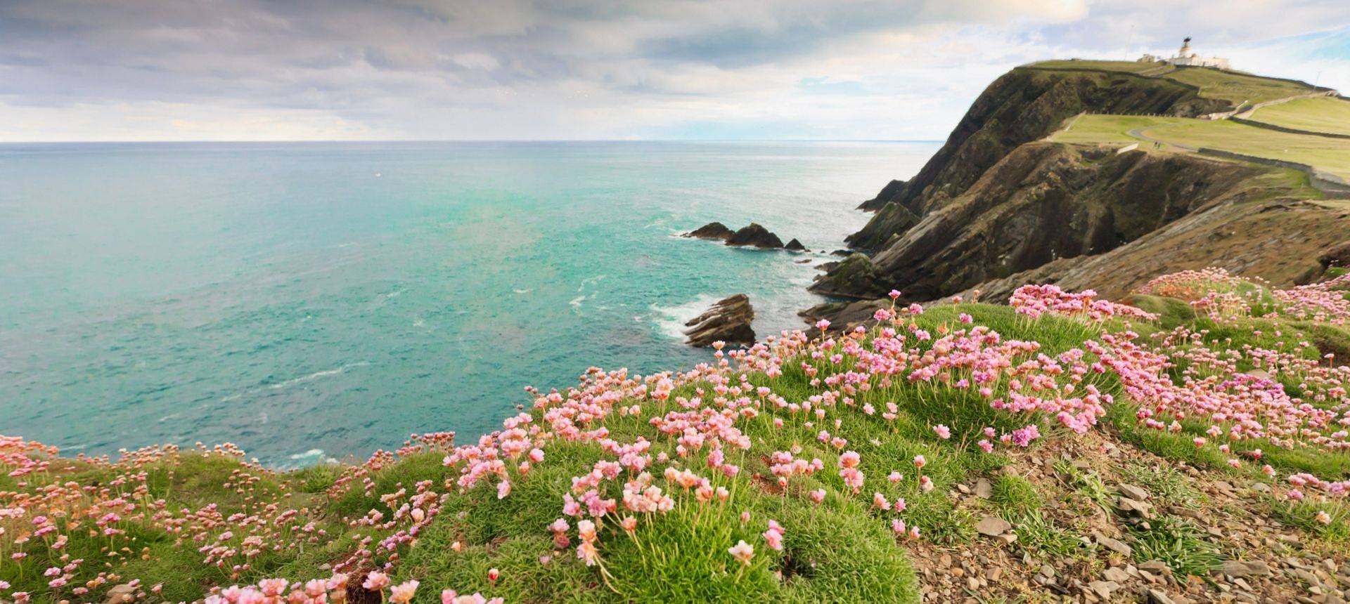 Sumburgh, Shetland Shutterstock 99993272
